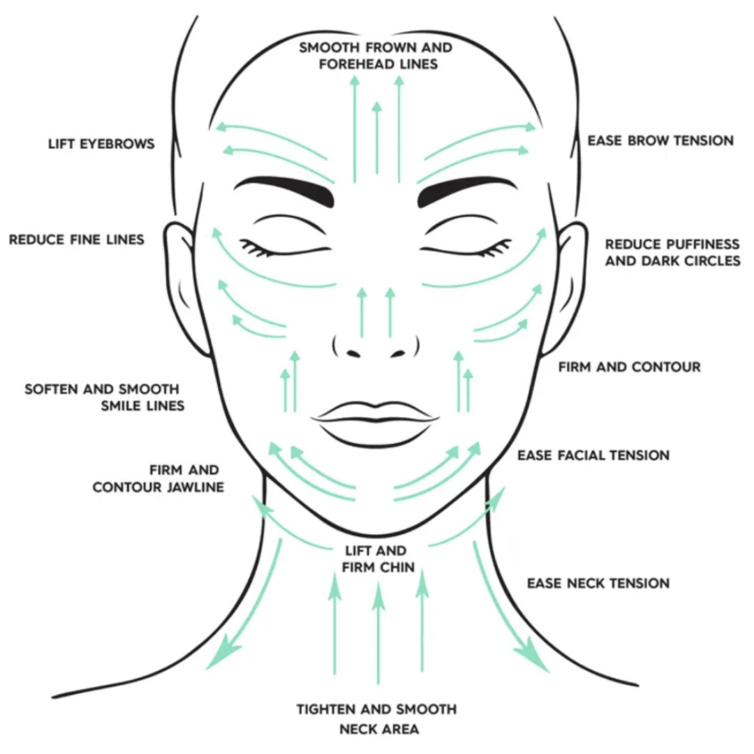 Facial treatment diagram with labeled areas for gua sha motions on a white background
