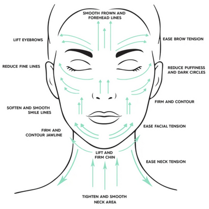 Facial treatment diagram with labeled areas for gua sha motions on a white background